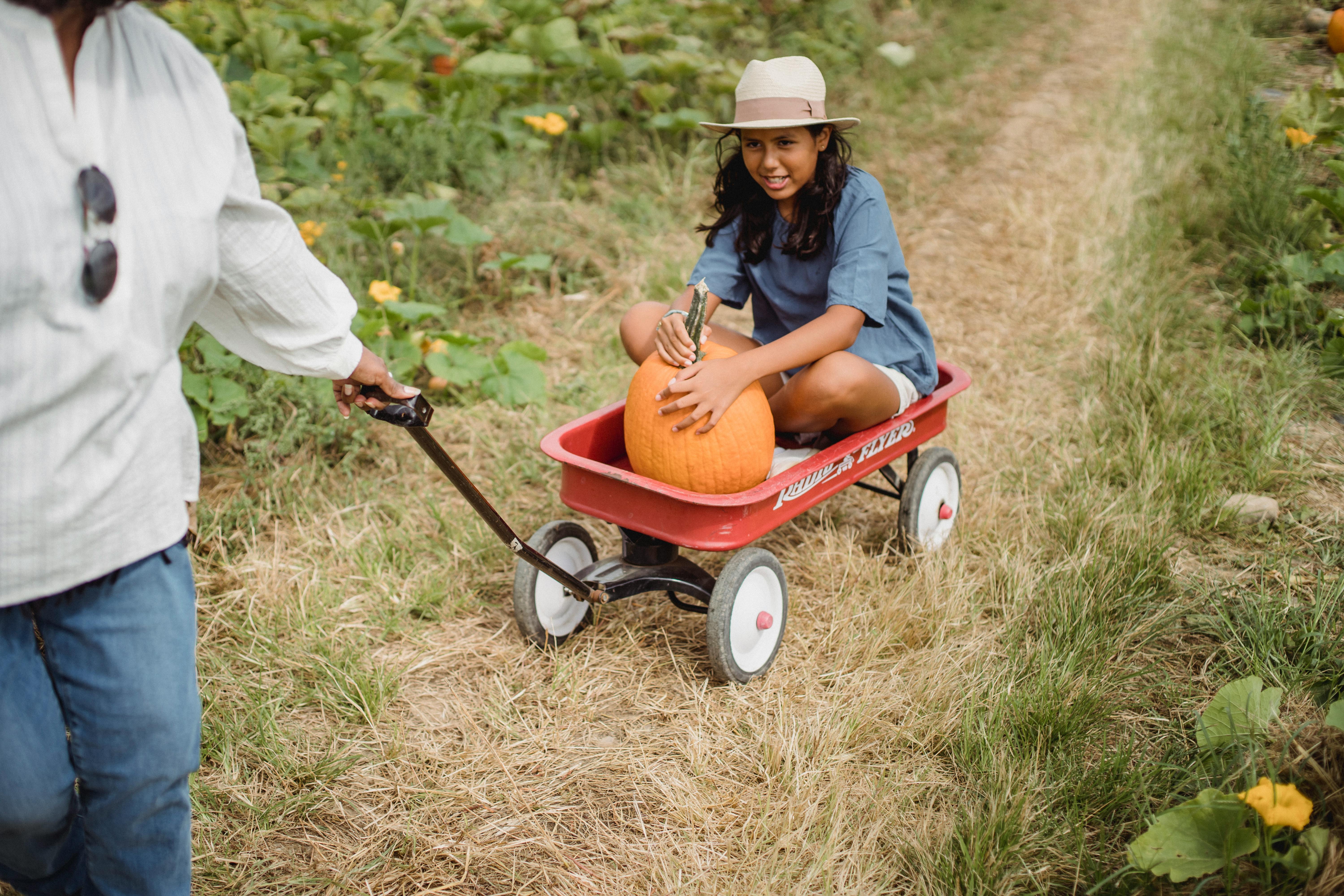 cheerful hispanic girl riding agricultural cart