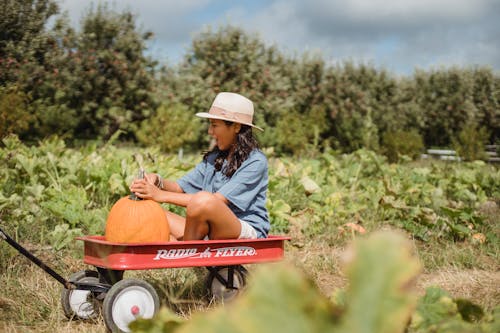 Cheerful girl in cart with pumpkin