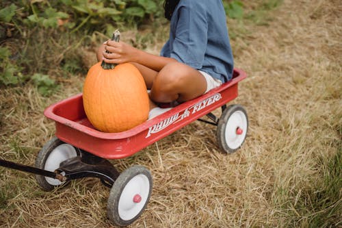 Crop faceless teenage with dark hair holding fresh pumpkin while sitting in cart