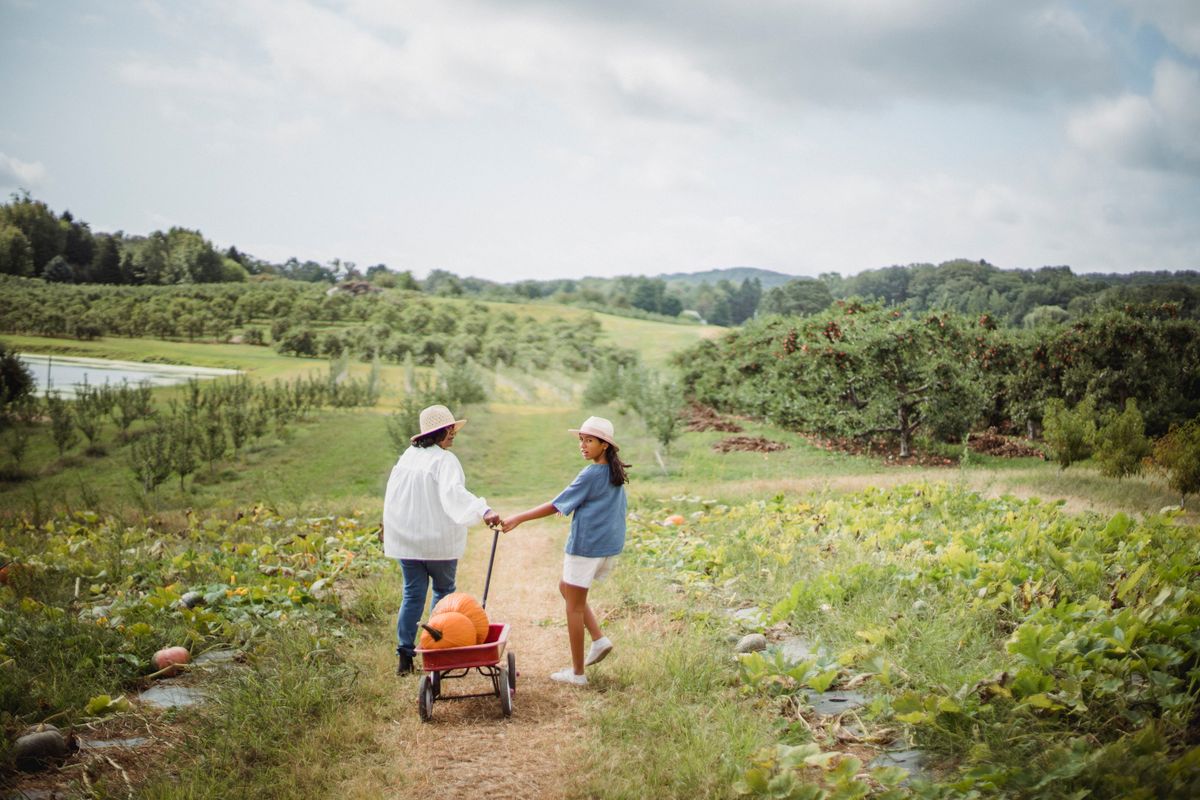 Why Women Over 40 Are Ditching the 9-to-5: Embracing Flexibility and Fulfillment