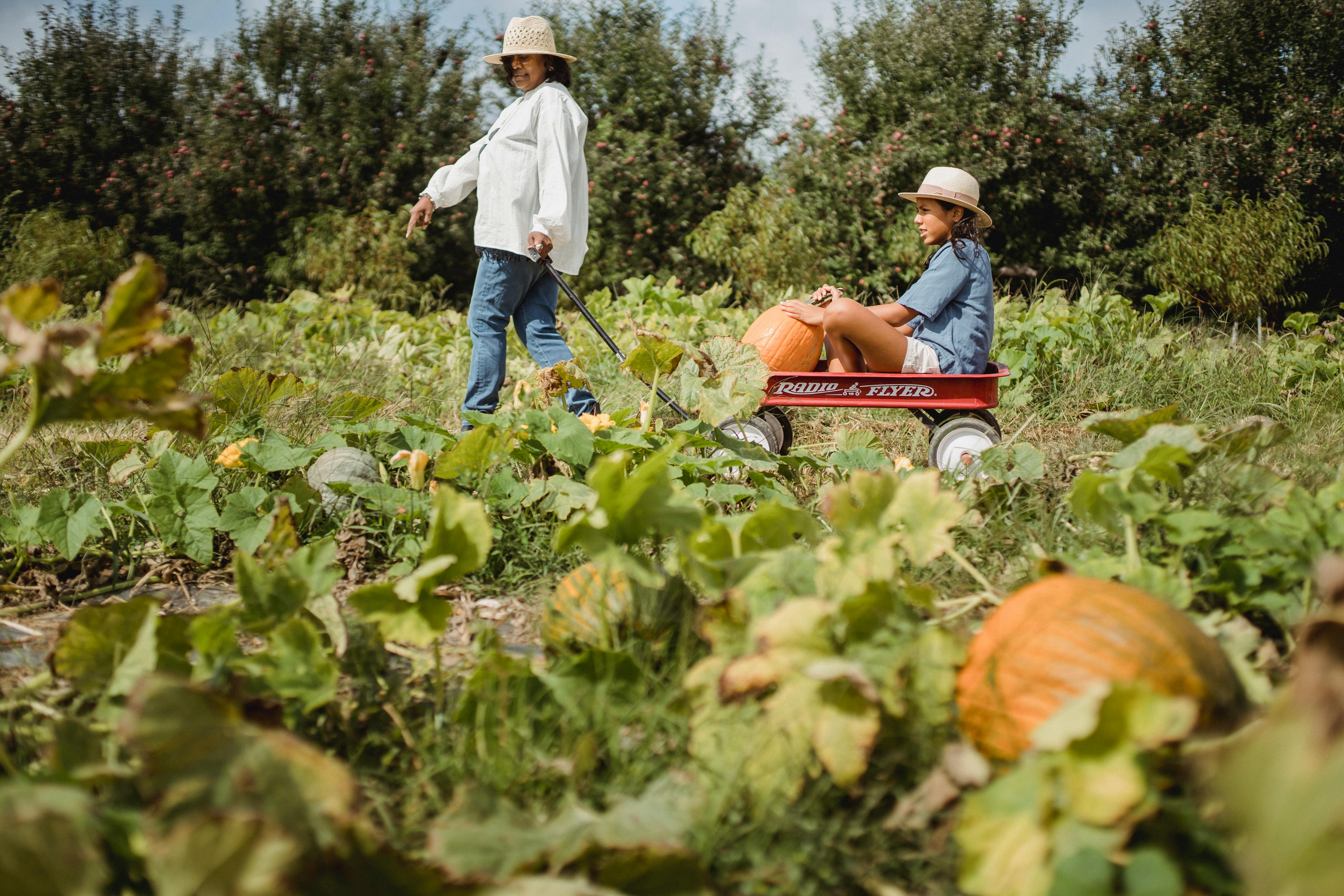 happy mother rolling daughter in cart