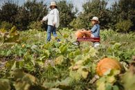 Happy mother rolling daughter in cart