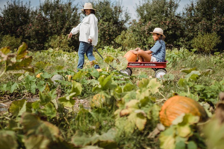 Happy Mother Rolling Daughter In Cart