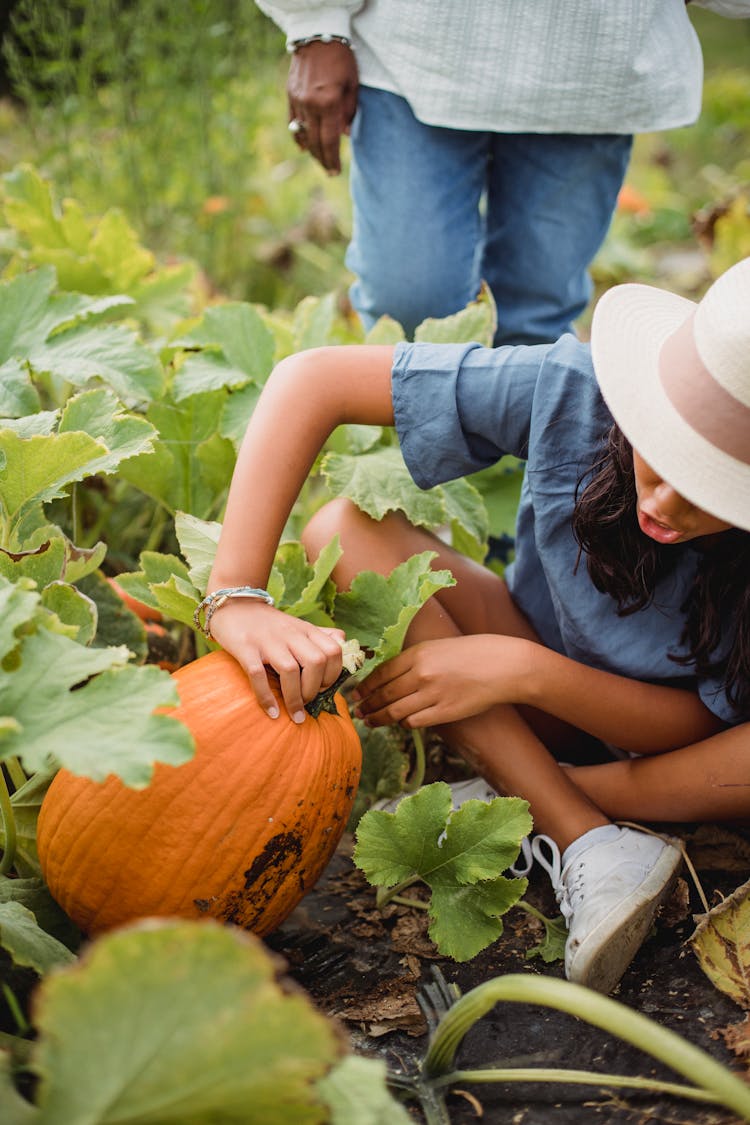 Happy Teen Girl In Pumpkin Field