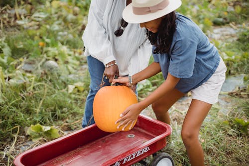 Woman with ethnic daughter harvesting pumpkins