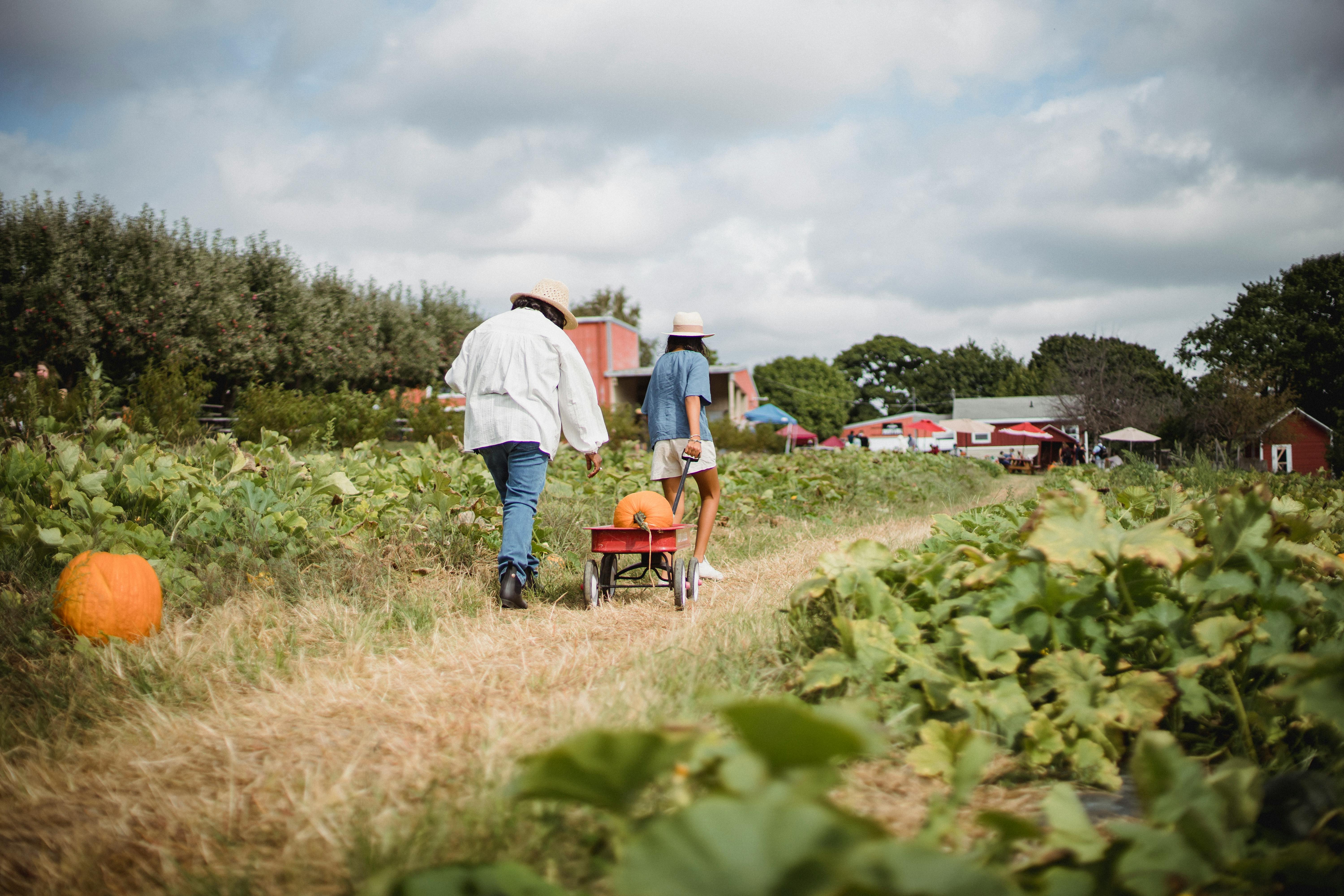 unrecognizable woman with young girl working in field