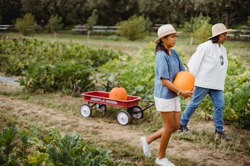 Mujer Hispana, Con, Hija, En, Campo De Calabaza