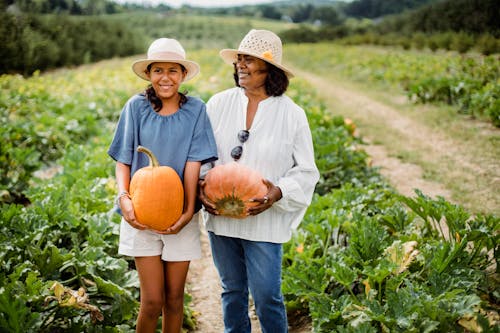 Joyful female with young Latin American girl smiling and holding fresh orange pumpkins in farmland