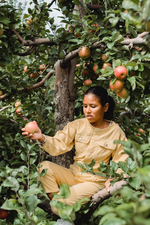 Hispanic teenage girl with apple in hand sitting on tree branch while working in garden