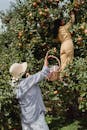 Back view of unrecognizable mother carrying basket while daughter picking apples from green branches of tree