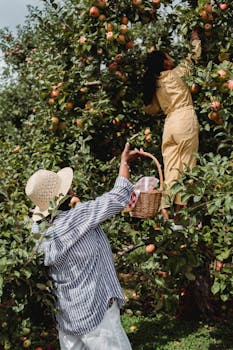 Back view of unrecognizable mother carrying basket while daughter picking apples from green branches of tree with the Quote "A good plan violently executed now is better than a perfect plan executed next week." written on it and have average color value #585645