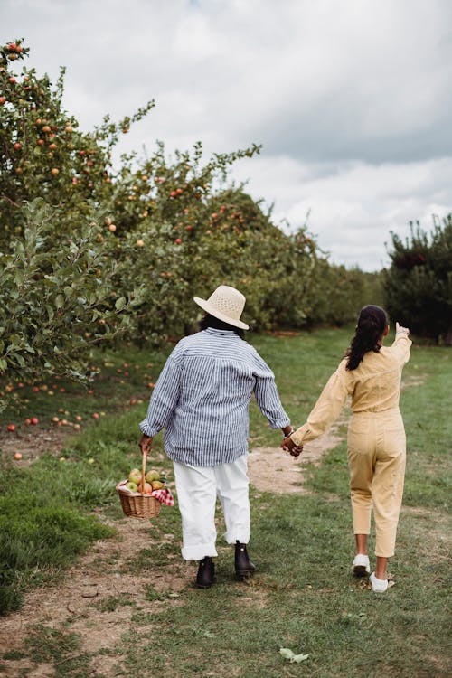 Free Back view of anonymous mother and daughter carrying wicker basket of apples while strolling together along green trees Stock Photo