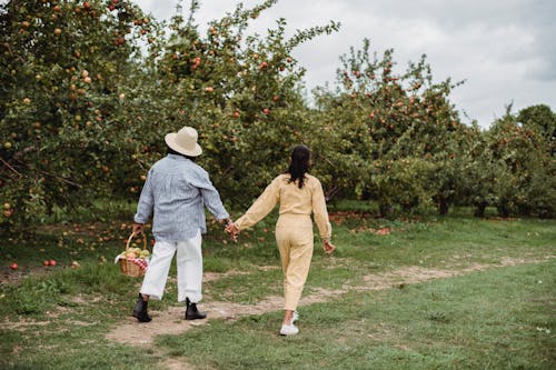 Back view full body of unrecognizable mother and daughter holding hands while strolling together along trees with basket of apples