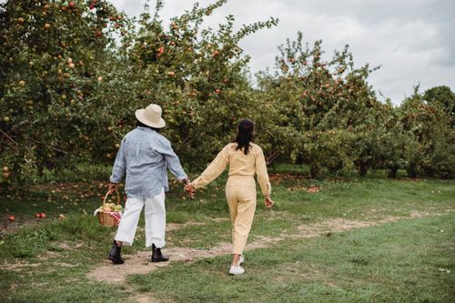 Free Back view full body of unrecognizable mother and daughter holding hands while strolling together along trees with basket of apples Stock Photo