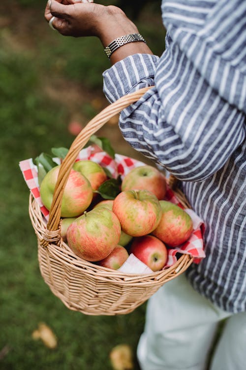 Ethnic woman carrying basket full of apples in orchard