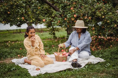 Free Full body of Hispanic mum sitting with basket of fresh fruits on blanket with daughter eating apple Stock Photo