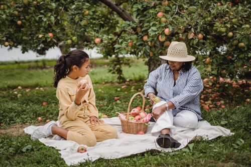 Free Full body of Hispanic mother and daughter eating healthy apples while resting on plaid in garden Stock Photo