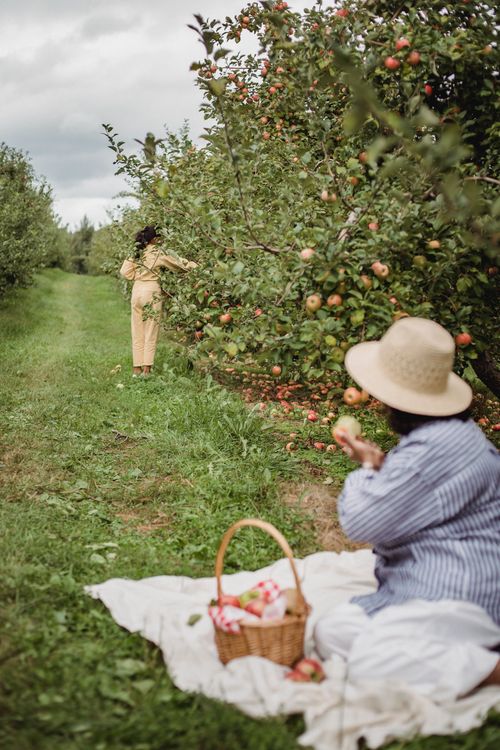 Free Faceless teen girl picking apples while mother having rest on plaid with wicker basket of fruits under tree branches Stock Photo