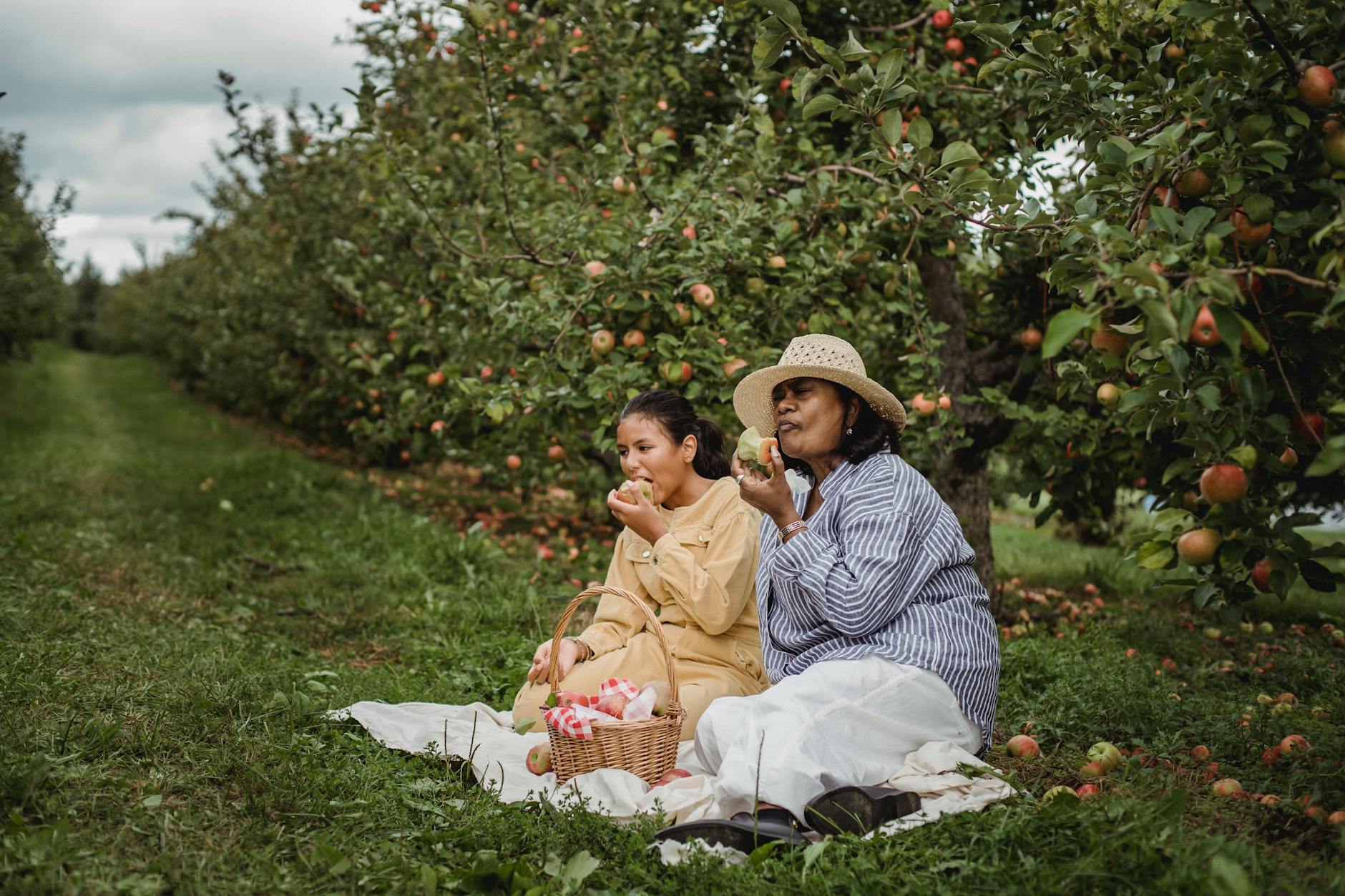 Ethnic mother and daughter eating apples during picnic