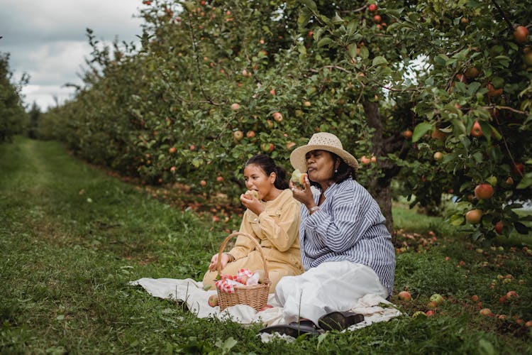 Ethnic Mother And Daughter Eating Apples During Picnic