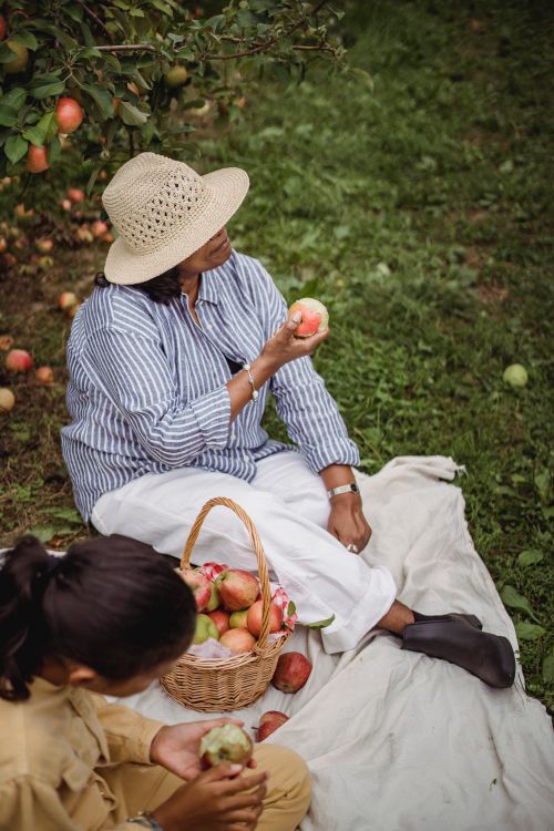 Free From above of anonymous ethnic mom and daughter eating apples while resting on plaid in orchard Stock Photo