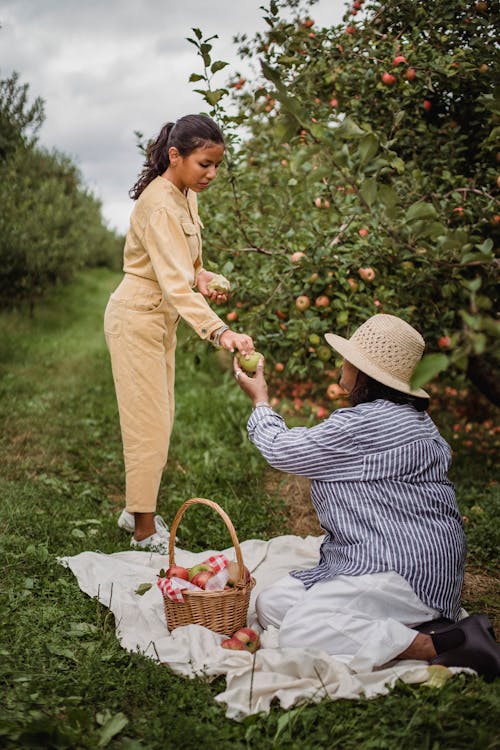 Free Mother giving apple to ethnic girl during picnic in orchard Stock Photo
