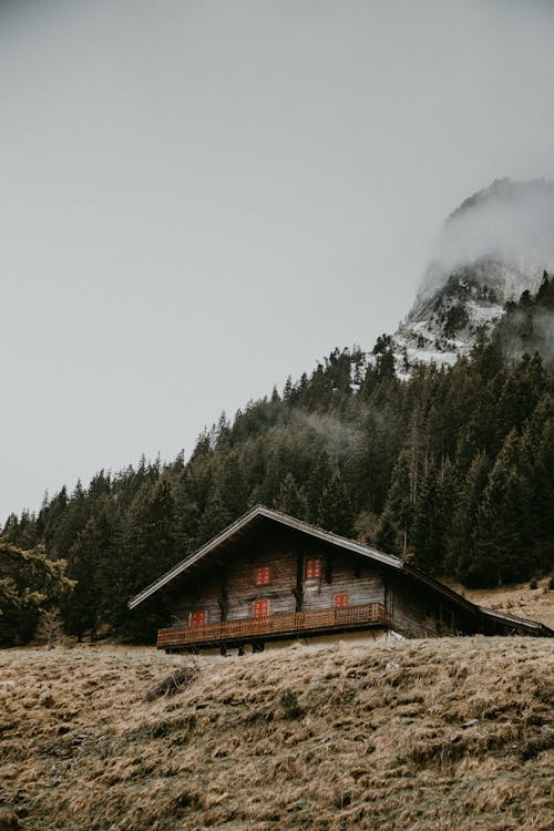 Free Lonely house on hill in fog Stock Photo