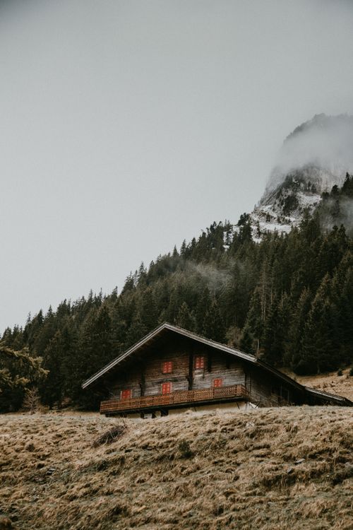 Free From below of wooden hut located on grassy hill near coniferous forest against misty sky in daytime in nature outside Stock Photo