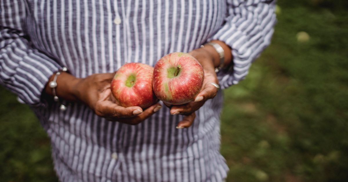 Humla farmer holding fresh apples in orchard