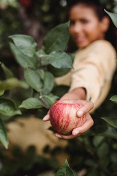 Crop faceless teen demonstrating fresh red apple while harvesting in summer garden on farm