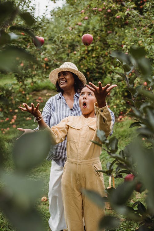Cheerful Latin American teen girl having fun in garden during harvesting apples with happy female