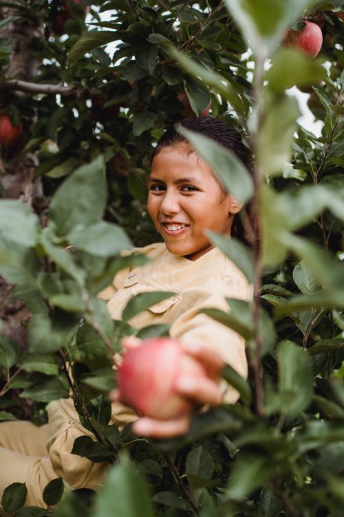 Free Cheerful Hispanic teenage holding ripe apple while picking and looking at camera with toothy smile Stock Photo