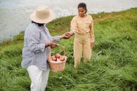 Unrecognizable ethnic woman carrying wicker basket with apple harvest and giving fresh fruit to girl standing in high grass near lake
