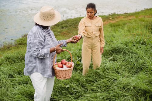 Free Unrecognizable ethnic woman carrying wicker basket with apple harvest and giving fresh fruit to girl standing in high grass near lake Stock Photo