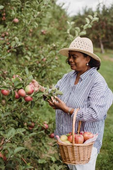 Smiling woman harvesting ripe apples in green garden with the Quote "My motto was always to keep swinging. Whether I was in a slump or feeling badly or having trouble off the field, the only thing to do was keep swinging." written on it and have average color value #7D7A5F