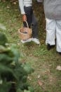 Faceless ethnic women with basket with grapes in garden