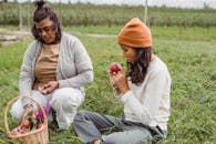 Calm ethnic females in casual clothes sitting on grass near wicker basket full of fruit in soft daylight