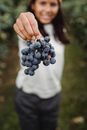 Crop smiling ethnic gardener demonstrating bunch of sweet fresh grapes on path in countryside