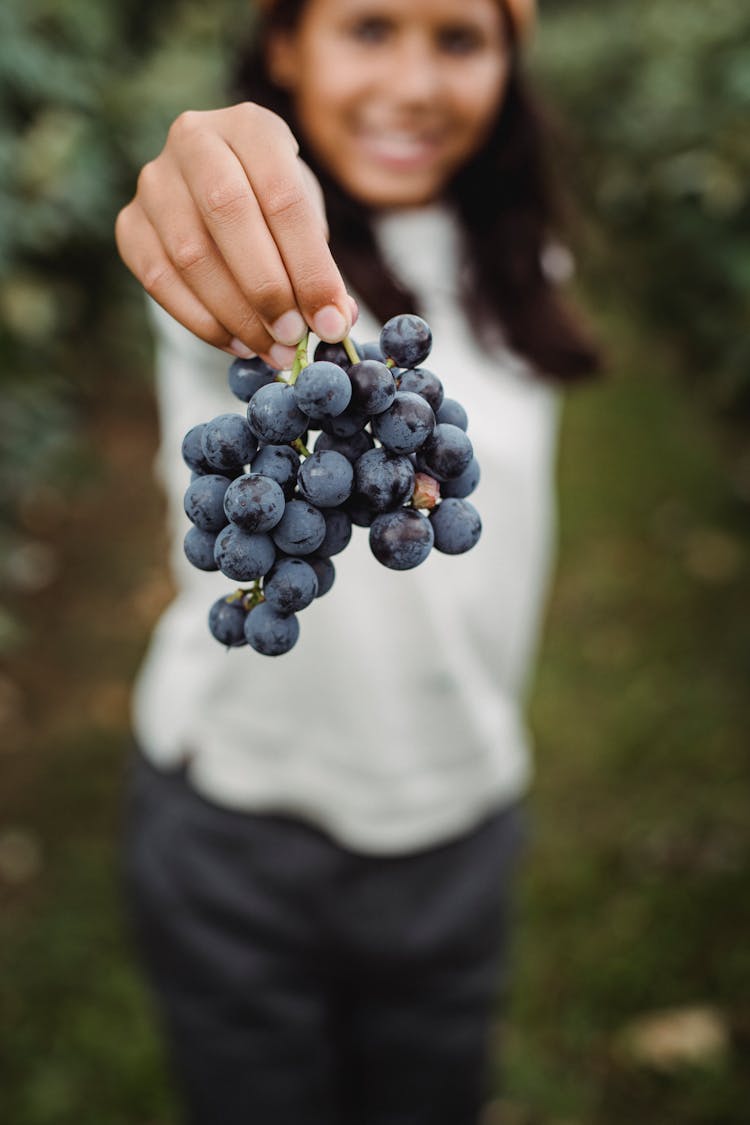 Crop Ethnic Teen Showing Bundle Of Tasty Grapes In Vineyard