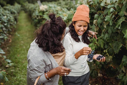 Positive ethnic girl with grapes near anonymous gardener in vineyard