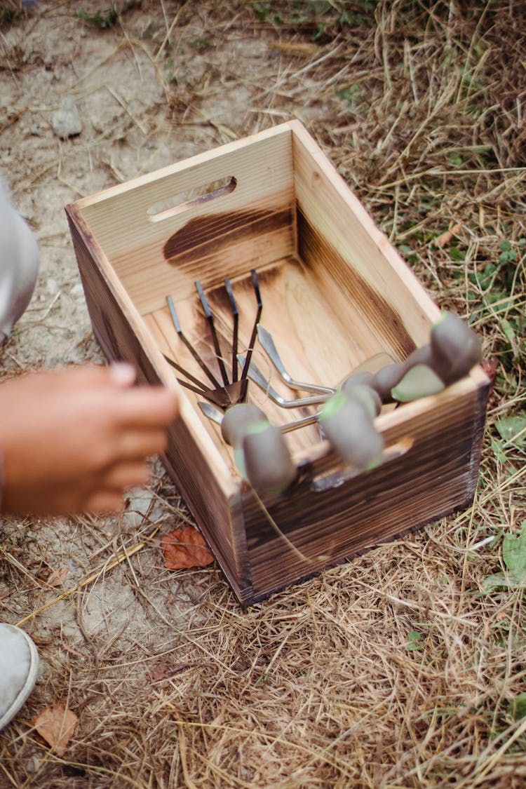 Crop Farmer On Path With Gardening Tools In Box