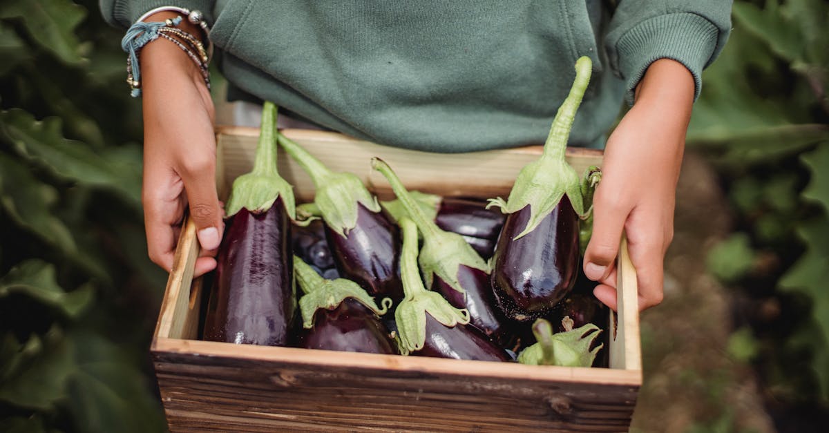 How to grow green onions from scraps