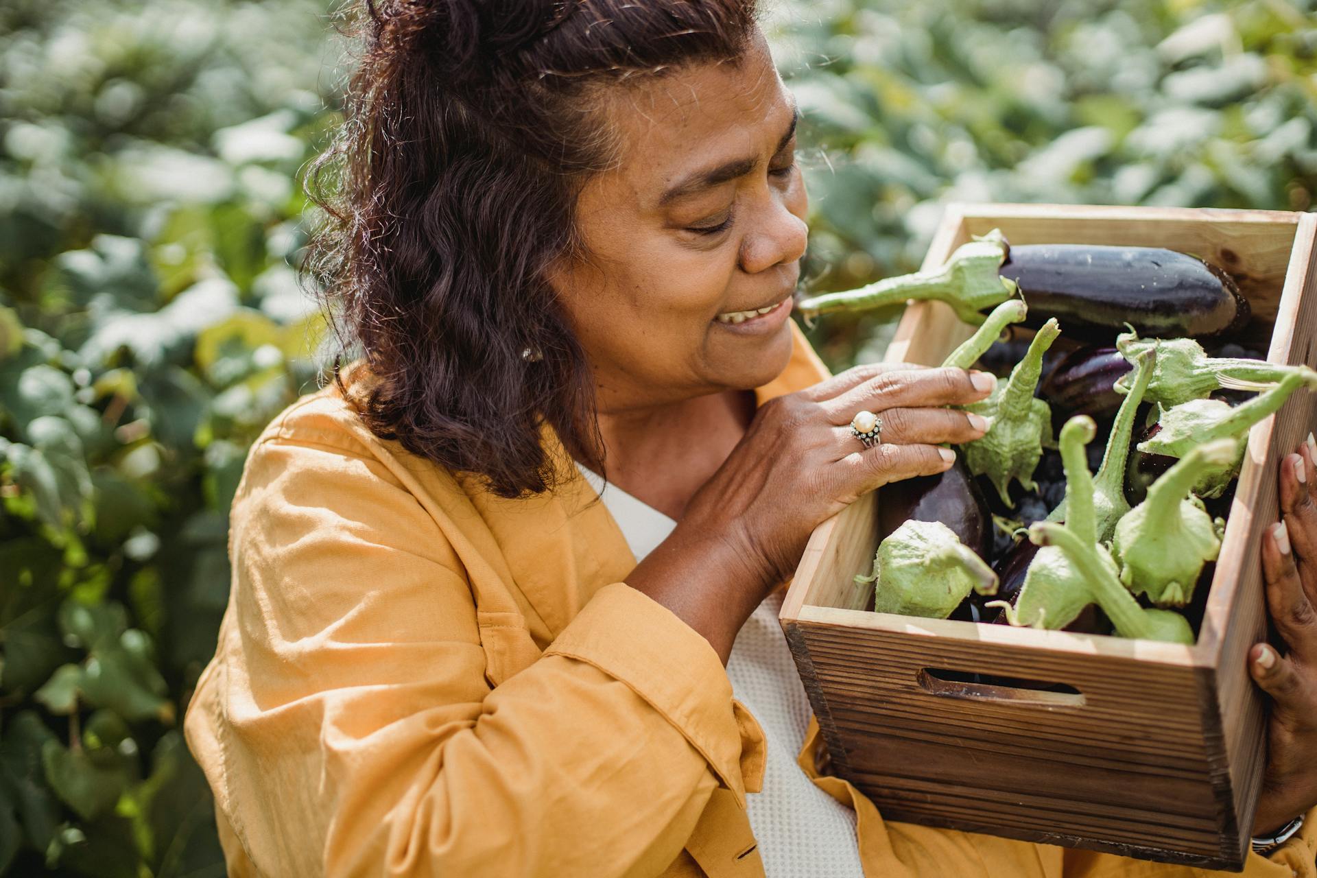 Crop happy middle aged ethnic female farmer in casual clothes standing in garden with box of fresh ripe eggplants after harvesting on sunny day