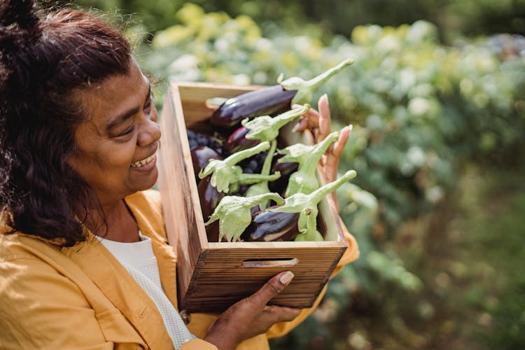 Happy Middle Aged Ethnic Lady Demonstrating Box With Ripe Eggplants In Garden