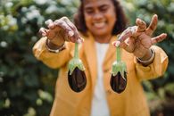 Joyful female gardener demonstrating eggplants in farm