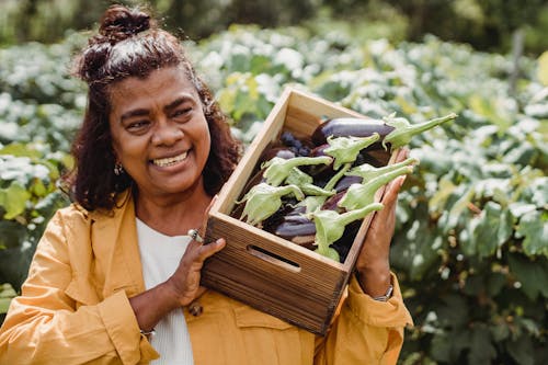 Joyful middle aged ethnic female farmer in casual clothes smiling and carrying wooden box with heap of fresh organic eggplants while working on plantation on sunny day
