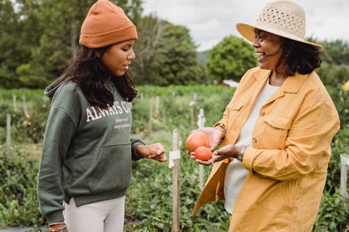 Side view of happy adult ethnic female gardener showing fruits to teenager standing near green plantation while interacting on farmland