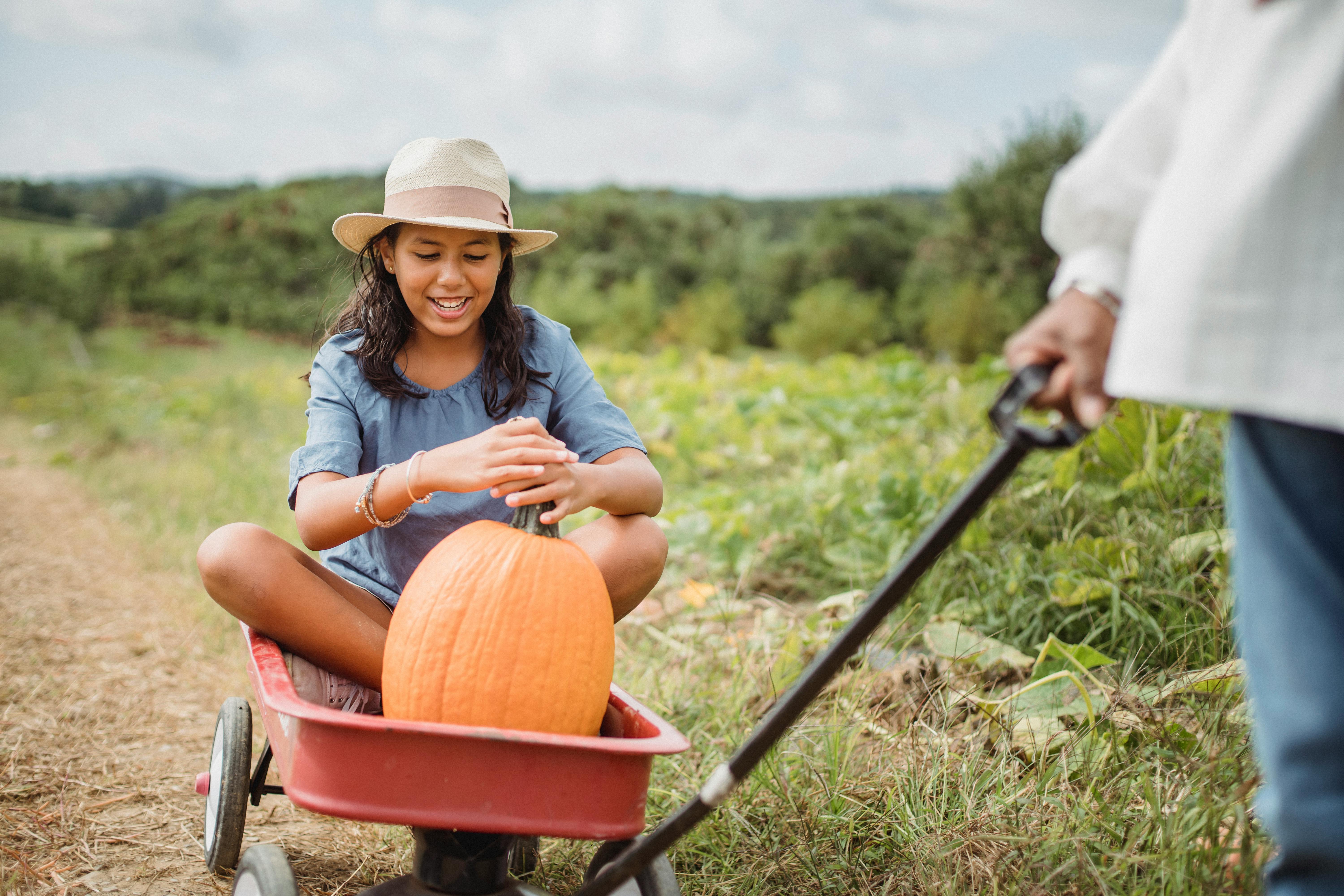 crop gardener carrying ethnic girl with pumpkin in garden cart