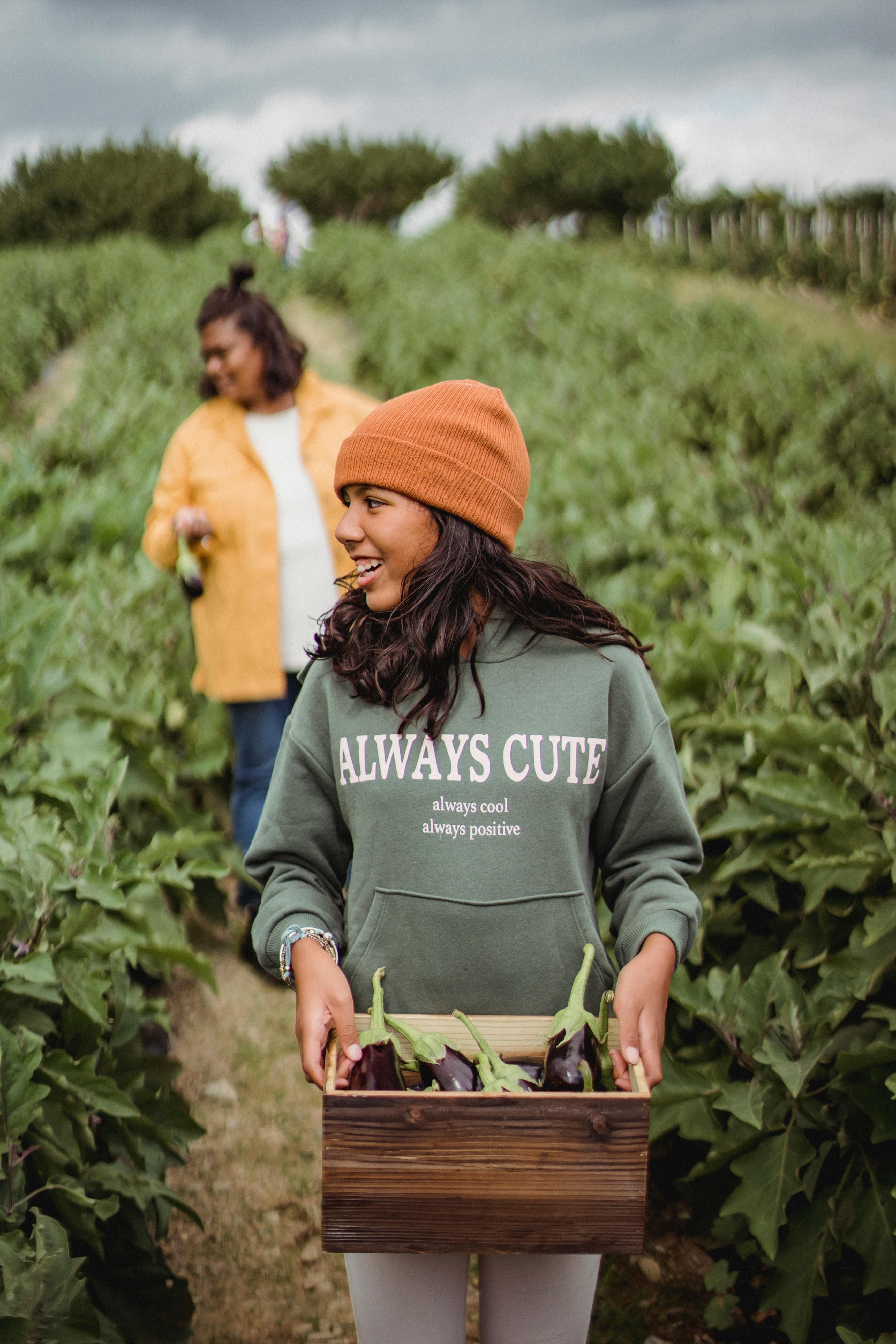 content ethnic girl and mother collecting eggplants on farmland