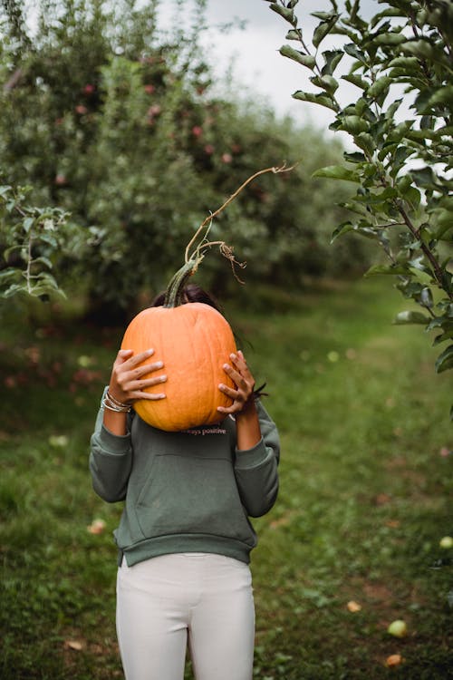 Anonymous ethnic teen with big raw pumpkin on grass path between apple trees in countryside